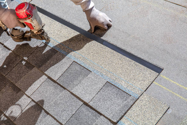 Best Gutter Installation and Roofing  in Meadow Vista, CA